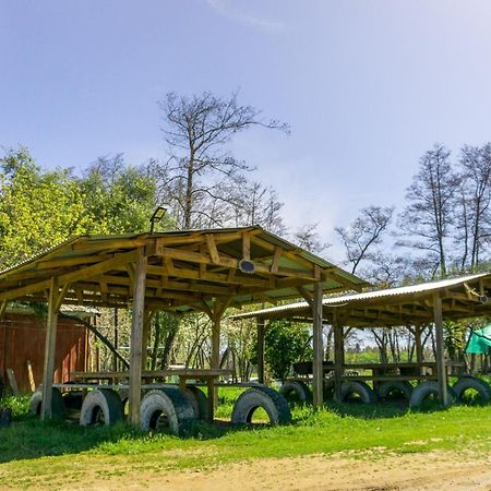 Coyunche Cabanas Y Camping Laja & San Rosendo מראה חיצוני תמונה