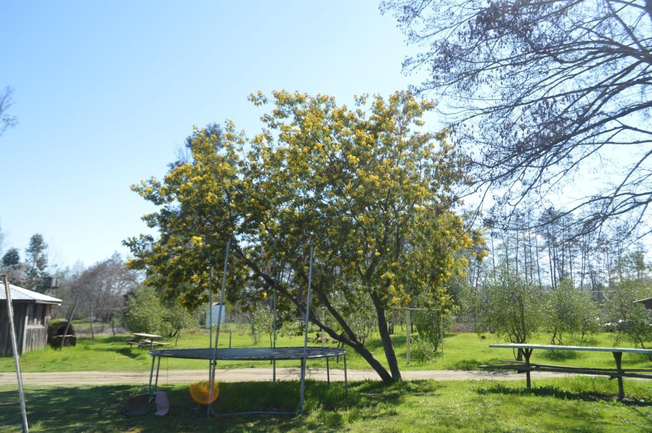 Coyunche Cabanas Y Camping Laja & San Rosendo מראה חיצוני תמונה