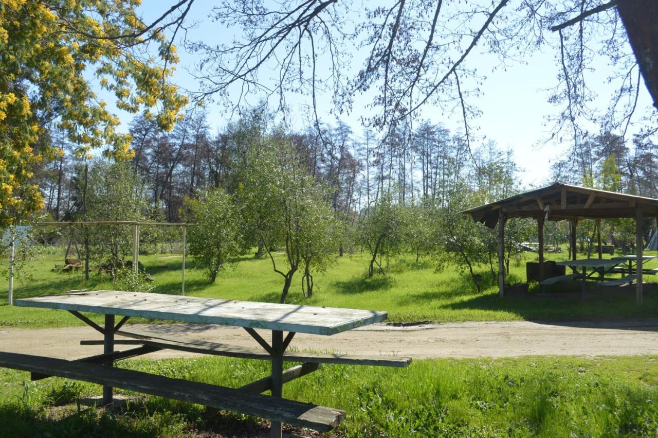 Coyunche Cabanas Y Camping Laja & San Rosendo מראה חיצוני תמונה