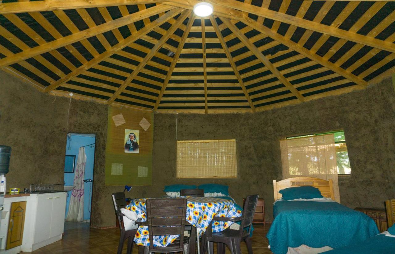 Coyunche Cabanas Y Camping Laja & San Rosendo מראה חיצוני תמונה