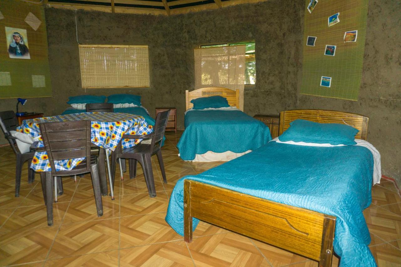 Coyunche Cabanas Y Camping Laja & San Rosendo מראה חיצוני תמונה